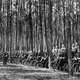 Image for article titled Great Moments In Bicycle-Powered Warfare